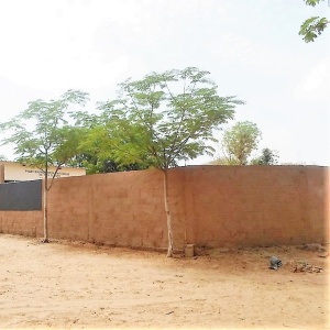 Mur