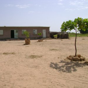 L'École de N'gaye N'gaye Al - L'école de N'gaye N'gaye Al, avec sur la droite la nouvelle classe provisoire.